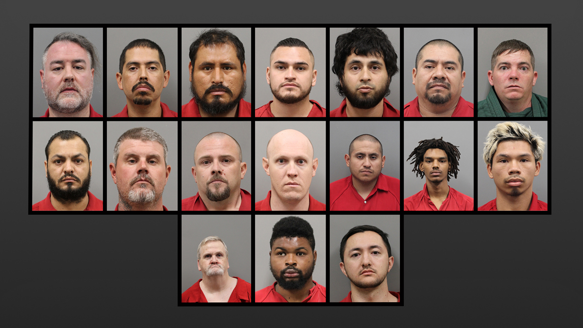 17 Men Including a Prosecutor Arrested in Multi-Agency Sting Operation Targeting Internet Child Sex Predators